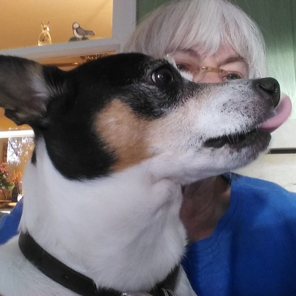 Meet your Posher, Carol